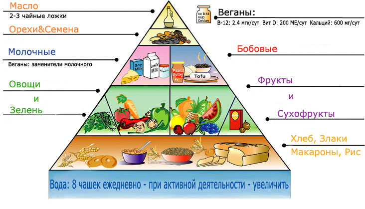 Вегетарианская Диета Что Можно Есть