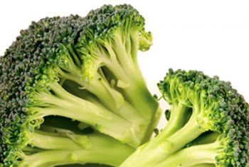 britanskie-uchenie-virashchivayut-super-brokkoli-novosti-kulinarii-1